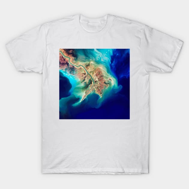 Mouth of the Mississippi, Landsat image (E552/0120) T-Shirt by SciencePhoto